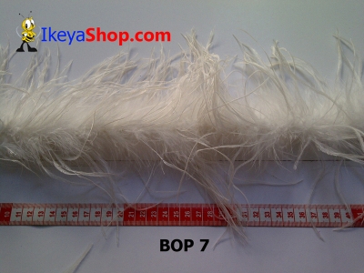 bulu ostrich BOP 7   feather  large2